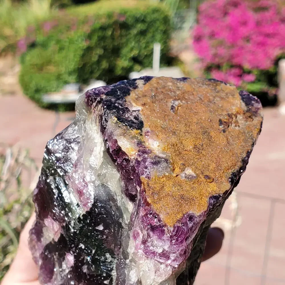 N/A raw purple